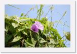 DSC001 (233) * 3008 x 2000 * (1.55MB)